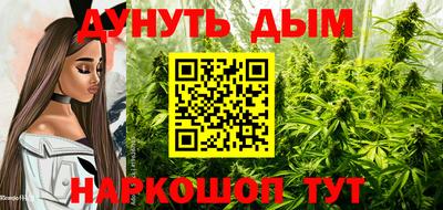 бошки Гай
