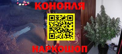 бошки Гай