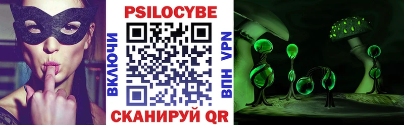 hydra   купить наркоту  Нальчик  Псилоцибиновые грибы Psilocybine cubensis 