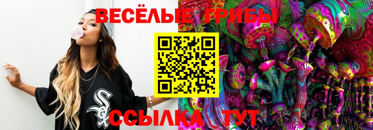 Нальчик  Псилоцибиновые грибы мицелий  Вход с VPN 